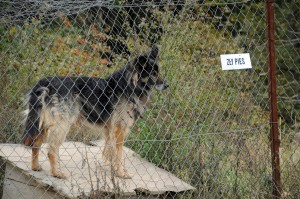 Fot. Jolanta Golinowska