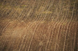 Fot. Jolanta Golinowska