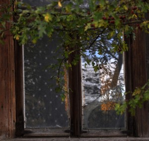 Fot. Jolanta Golinowska