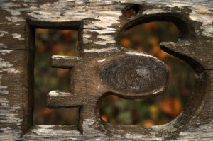 Fot. Jolanta Golinowska