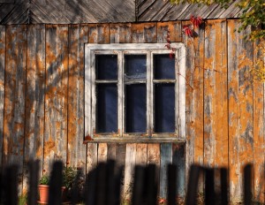 Fot. Jolanta Golinowska