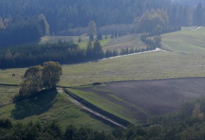 Fot. Katarzyna Kalinowska