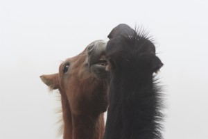 Fot. Katarzyna Kalinowska