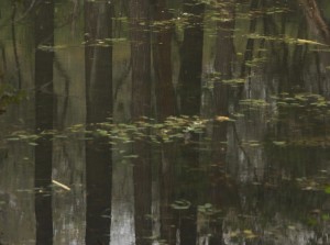 Fot. Katarzyna Kalinowska