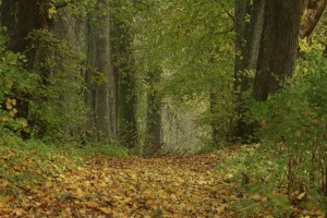 Fot. Katarzyna Kalinowska