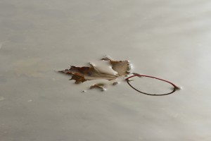 Fot. Katarzyna Kalinowska