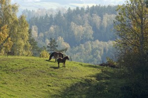 Fot. Katarzyna Kalinowska