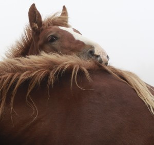 Fot. Katarzyna Kalinowska