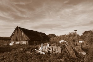 Fot. Marta Wojciechowska