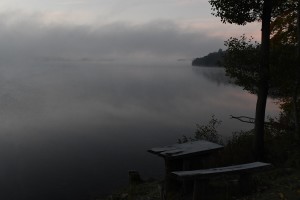 Fot. Marta Wojciechowska