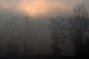 Fot. Marta Wojciechowska