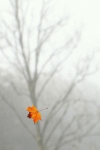 Fot. Marta Wojciechowska