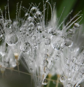 Fot. Marta Wojciechowska