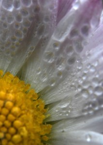 Fot. Marta Wojciechowska