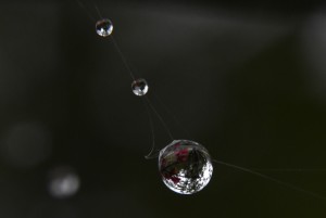 Fot. Marta Wojciechowska