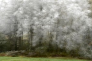 Fot. Marta Wojciechowska