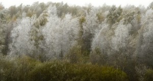 Fot. Marta Wojciechowska