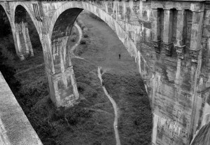 Fot. Marta Wojciechowska