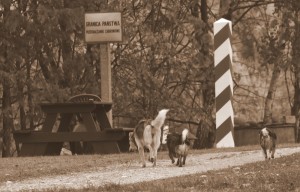 Fot. Marta Wojciechowska