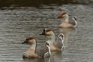 Fot. Marta Wojciechowska