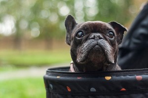 Fot. Maria Gąsienica