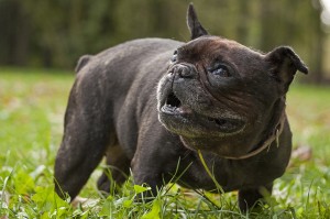 Fot. Maria Gąsienica