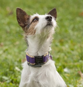 Fot. Maria Gąsienica