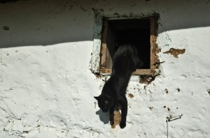 Fot. Małgorzata Marczuk