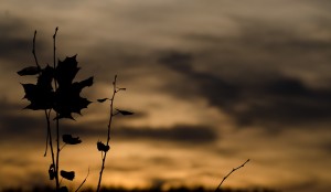 Fot. Małgorzata Marczuk