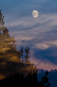 Fot. Małgorzata Marczuk