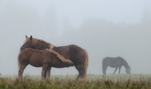 Fot. Małgorzata Marczuk