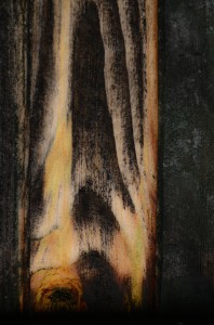 Fot. Małgorzata Marczuk