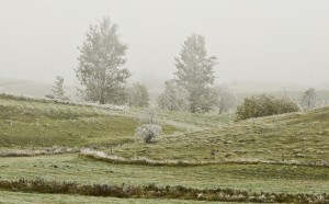 Fot. Małgorzata Marczuk