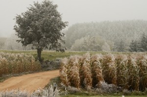 Fot. Małgorzata Marczuk