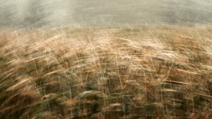 Fot. Małgorzata Marczuk