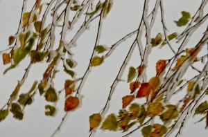 Fot. Małgorzata Marczuk