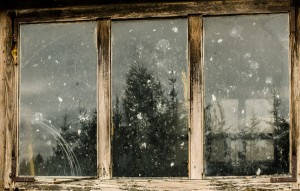 Fot. Małgorzata Marczuk