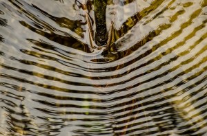 Fot. Małgorzata Marczuk