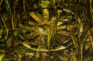 Fot. Małgorzata Marczuk