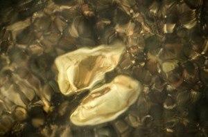 Fot. Małgorzata Marczuk