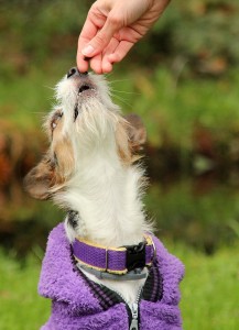 Fot. Małgorzata Pędzimąż