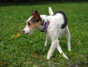 Fot. Monika Obidzińska