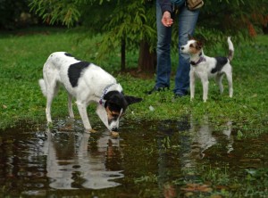Fot. Monika Obidzińska