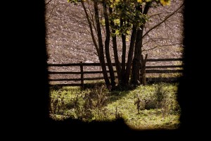 Fot. Renata Zwięglińska