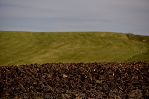 Fot. Renata Zwięglińska