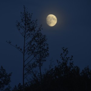 Fot. Renata Zwięglińska