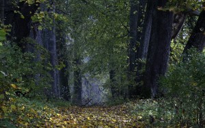 Fot. Renata Zwięglińska