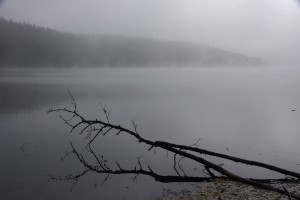 Fot. Renata Zwięglińska