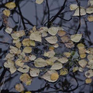 Fot. Renata Zwięglińska