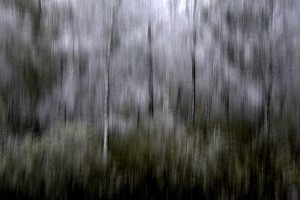 Fot. Renata Zwięglińska